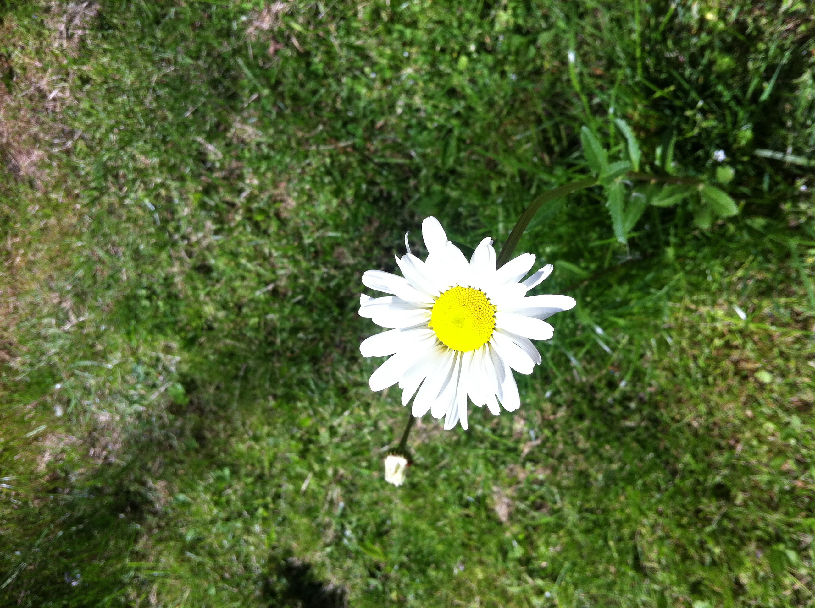 IMG_3797.JPG